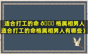 适合打工的命 🐟 格属相男人（适合打工的命格属相男人有哪些）